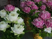 P1040151