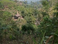 Paysage de montagne