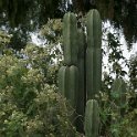 DSCF0673