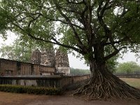 Wat Si Sawai