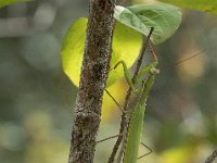 P9030351