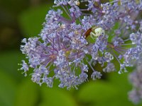 DSCF4849