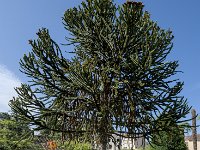 DSCF1647