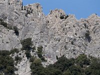 Varapeurs
