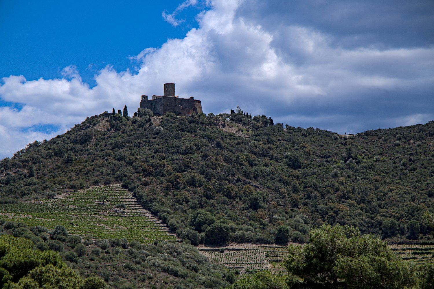 Fort Saint Elme