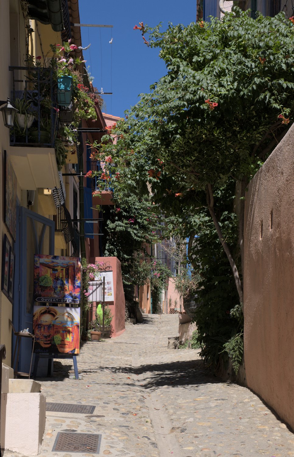 Ruelle