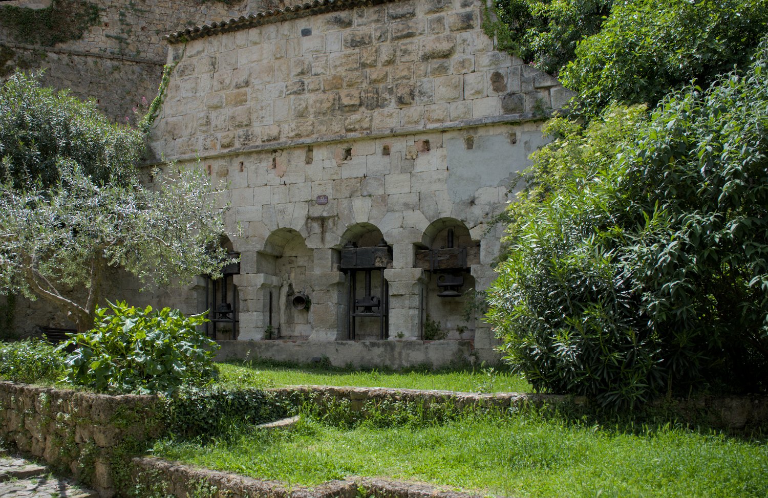 Le mounin à huile