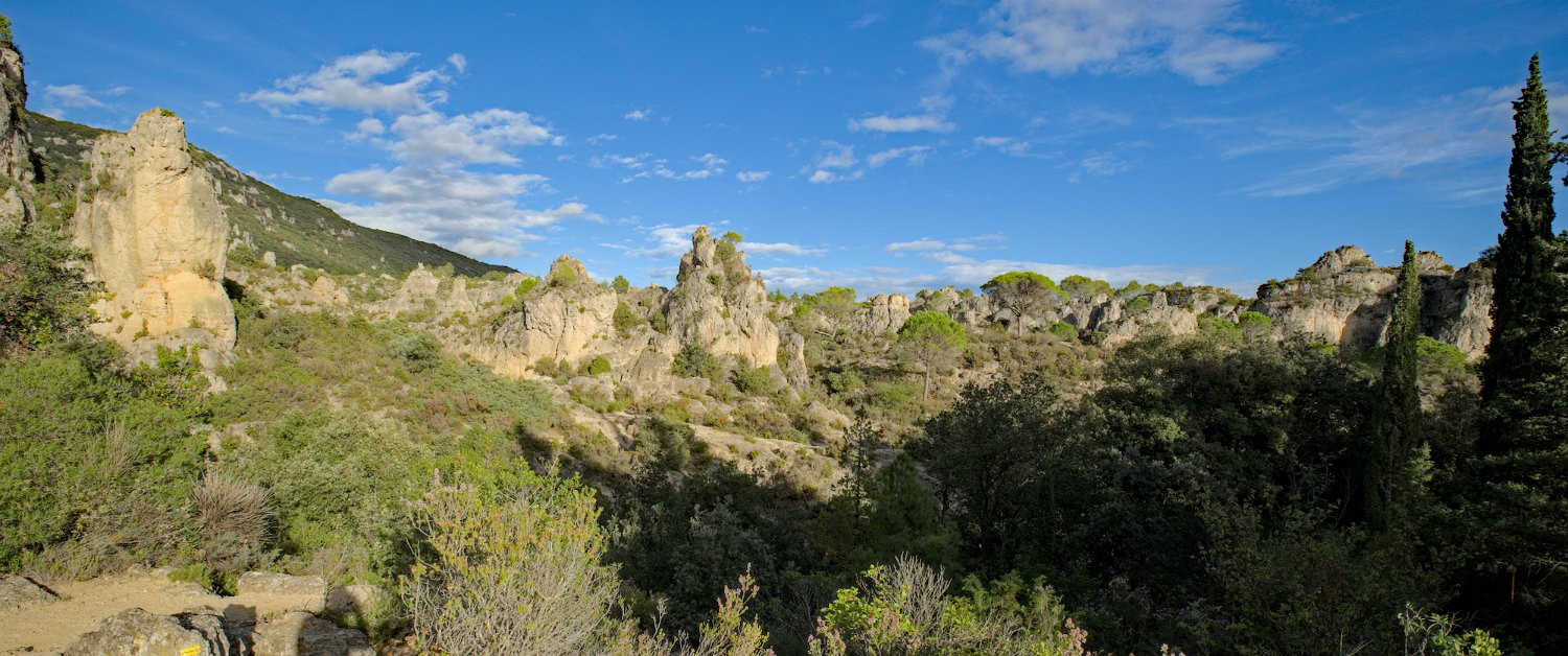 Vue d'ensemble