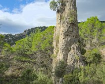Rochers et formes