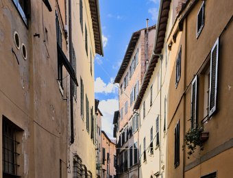 Rue