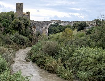 DSCF9479