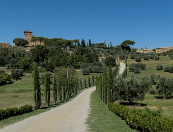 DSCF8451