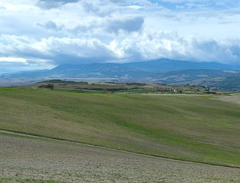 DSCF8514