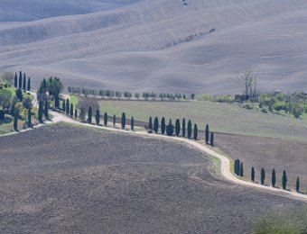 DSCF9040