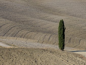 DSCF9098