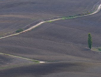 DSCF9170