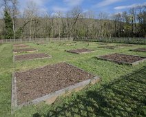 Jardin médiéval