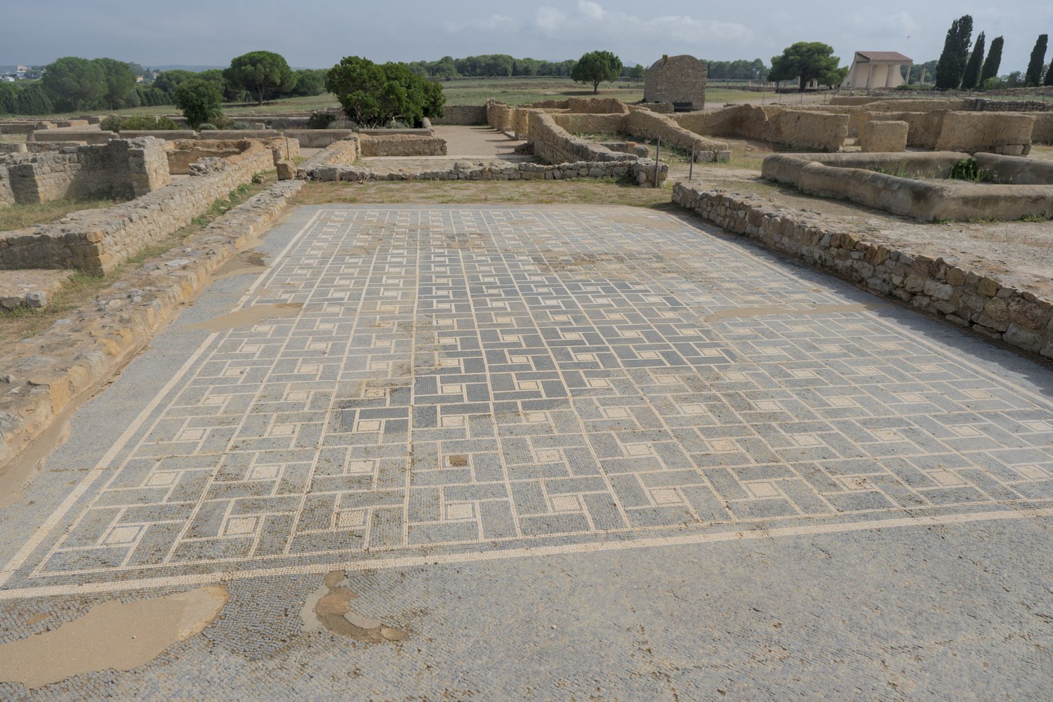 Domus 1- Mosaïques