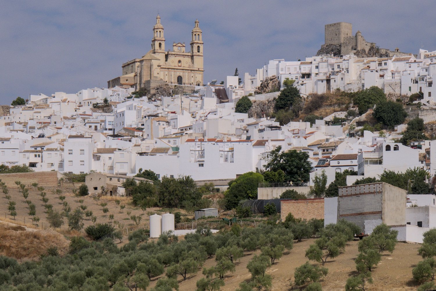 Olvera