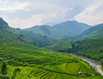 Agriculture