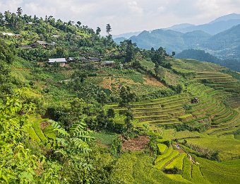 Village H'mong